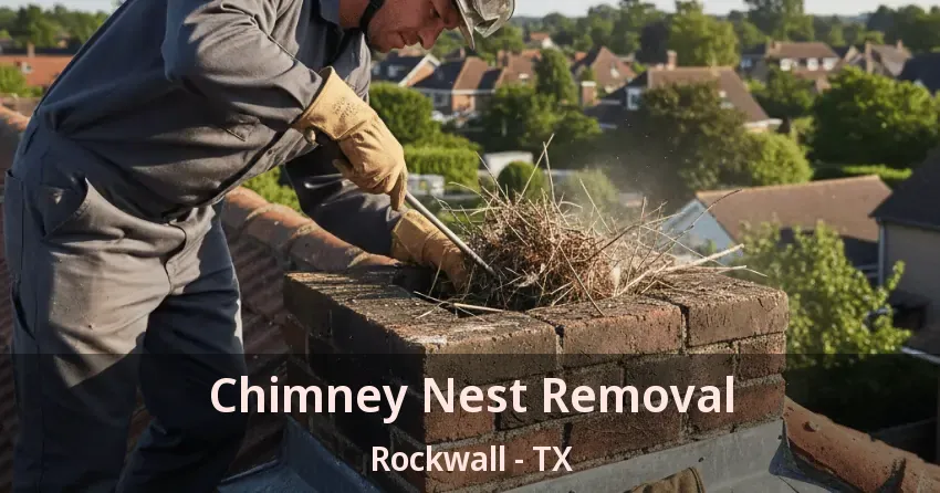Chimney Nest Removal Rockwall - TX