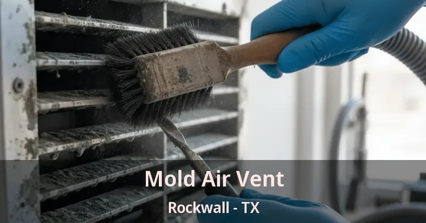 Mold Air Vent Rockwall - TX