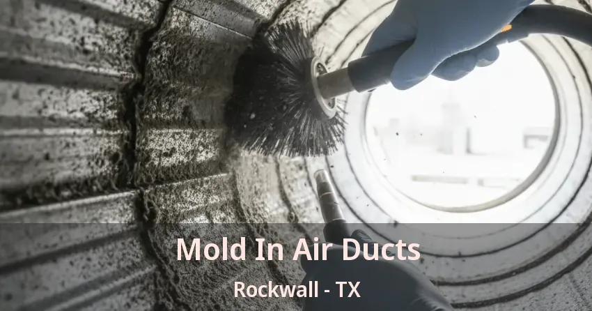 Mold In Air Ducts Rockwall - TX