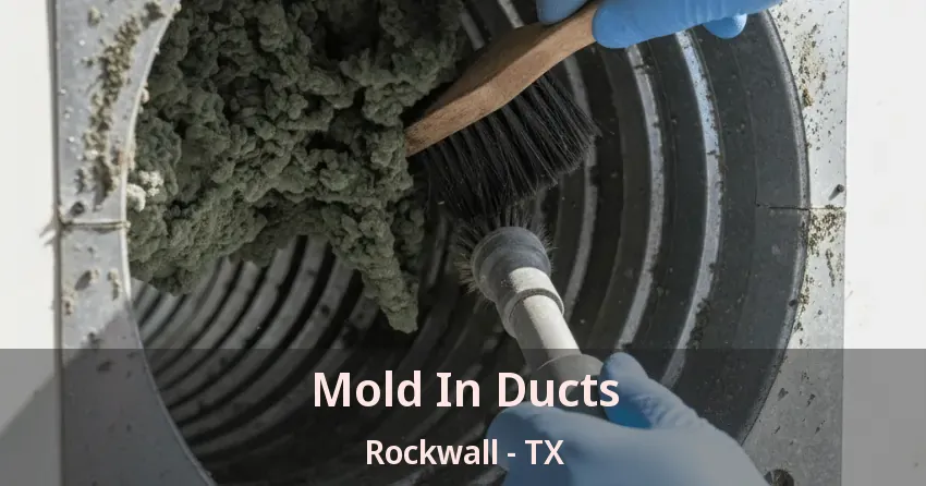 Mold In Ducts Rockwall - TX