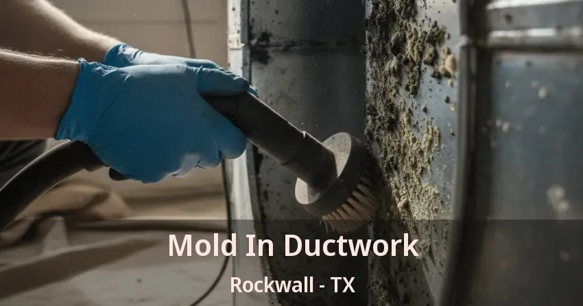 Mold In Ductwork Rockwall - TX