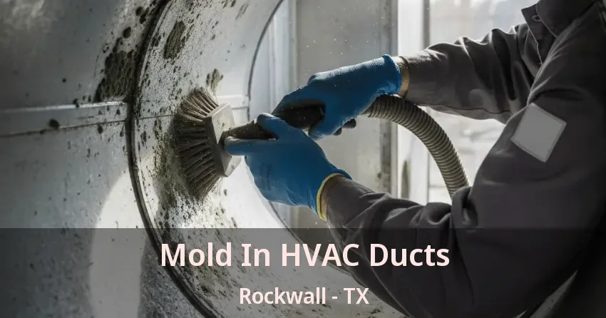 Mold In HVAC Ducts Rockwall - TX